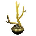 Symbol für Gegenstand "Armleuchter-Kaktus im Topf"