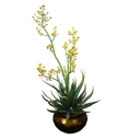 图标用于 "Blooming Agave Plant"