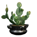 图标用于 "Potted Opuntia Cactus"