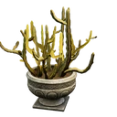 Иконка для "Potted Triangle Cactus"