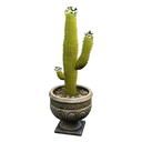 图标用于 "Potted Saguaro Cactus"