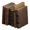 Icône de l'objet "Courte rangée de vieux livres"