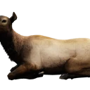 Ícone para item "Cervo Fêmea Marrom Domiciliar"