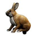 Symbol für Gegenstand "Braunes Haus-Kaninchen"