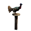 Иконка для "Domiciliary Brown Turkey"