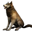 Symbol für Gegenstand "Brauner Haus-Wolf"