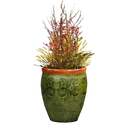 Icône de l'objet "Pot de fleurs hivernales"