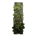 Icono del item "Celosía alta de hiedra verde"