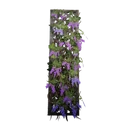 Icône de l'objet "Grand treillis de glycine violette"