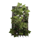 Icona per articolo "Traliccio basso di edera verde"