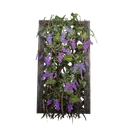 Ikona dla przedmiotu "Mały treliaż z wisterią fioletową"