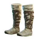 Иконка для "Sprigganbane Cloth Boots"