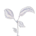 Icon for item "Lifebloom Flower"