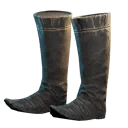 Icon for item "Totemic Shoes"