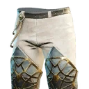 Icon for item "Warmaster Cloth Pants"