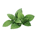 Icon for item "Mint"