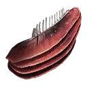 Ícone para item "Guelras de Peixe-espátula"