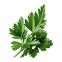 Icon for item "Parsley"