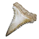 Icon for item "Piranha Tooth"