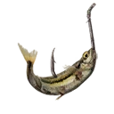 Icono del item "Cebo de pescado de primera"