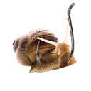 Ikona dla przedmiotu "Pierwszorzędna przynęta ze ślimaka"