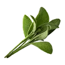 Icono del item "Salvia"