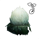 Ikona dla przedmiotu "Nasiona bulwy iskrowej"