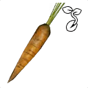 Icône de l'objet "Graine de carotte"