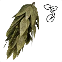 Icono del item "Semilla de especia"