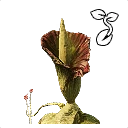 Icon for item "Earthspine Seed"
