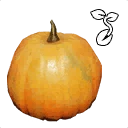图标用于 "Pumpkin Seed"