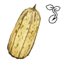 Icono del item "Semilla de calabaza alargada"