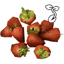 Symbol für Gegenstand "Erdbeersamen"