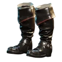Icon for item "Fanciful Boots"