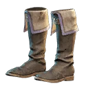 Icon for item "Robin Hood Shoes"