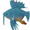 Иконка для "Spinefish Fins"