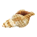 图标用于 "Warbling Conch"