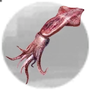 Icon for item "Hooked Squid"