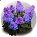 Icon for item "Flores de Lagoprado"