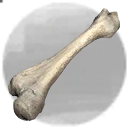 Icon for item "Succulent Bone"
