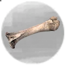 Icon for item "Enchanted Bone"