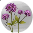 Icon for item "Flor espléndida"