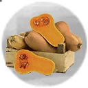 Icon for item "Zucchina da primo premio"