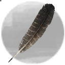 Icon for item "Hawk Feather"