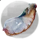 Icon for item "Ghiandola anale di cervo"