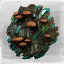 Icon for item "Dryad Round Shield"