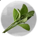 Icon for item "Herbes purificatrices"