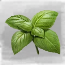 Icon for item "Basil"
