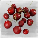 Icon for item "Berry"