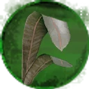 Icon for item "Hoja de raíz del tizón"